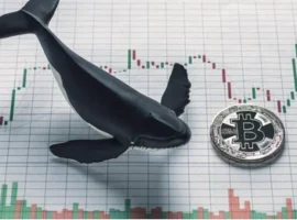 conceptual-representation-bitcoin-whale-holder-260nw-1122626339 conceptual-representation-bitcoin-whale-holder-260nw-1122626339